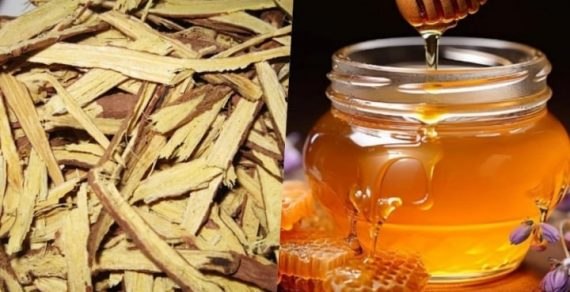 Cam thảo chế mật ong: tăng tính sinh khả dụng sinh học và tăng tác dụng giải độc